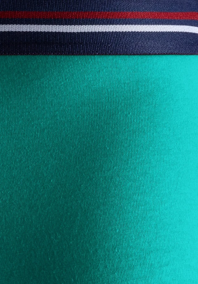 H.I.S Boxer, (Packung, 5 St.), Mit Streifen Und Markenlogo Im Bund - Image 15